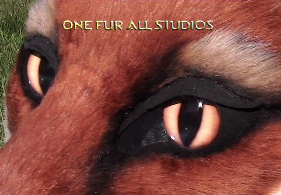 fayfox-head5.jpg