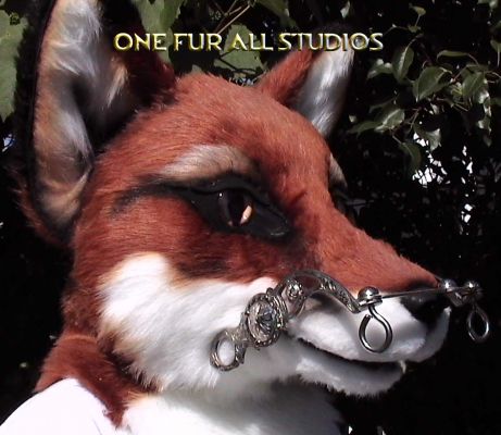 fayfox-head6.jpg