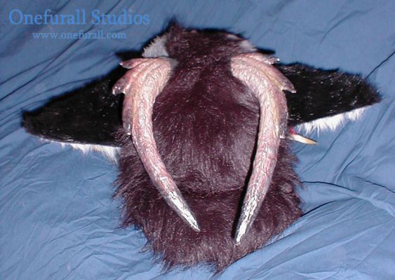 head-rear.jpg