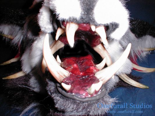 mouth-closeup2.jpg