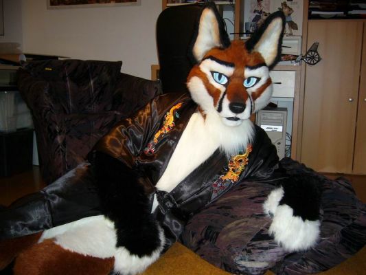nightfox-lounge.jpg