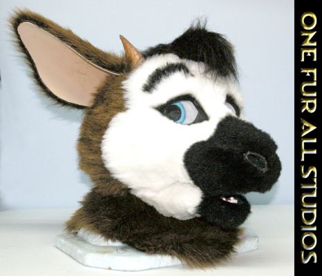 This is a new version of the original head.  The first head was good, but we felt there were elements that could be improved.   This new version is thoroughly padded, extremely light, and very very comfortable!
