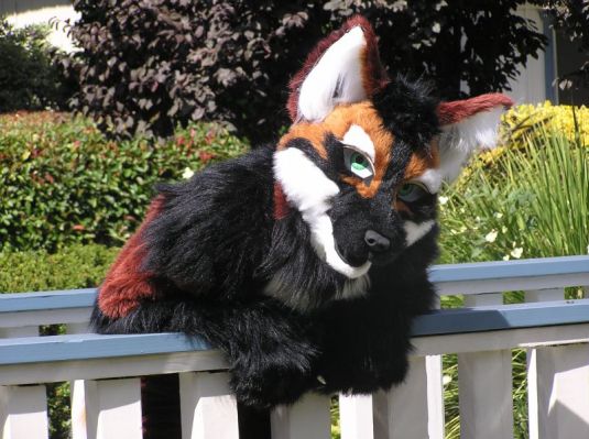 Zeke peers over the railing
