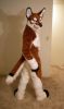 Filename=1237419124_junowolf_023.jpg
Filesize=40KiB
Dimensions=344x576
Date added=Apr 27, 2009 1237419124_junowolf_023.jpg