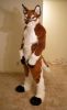 1237419269_junowolf_029.jpg