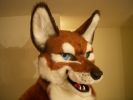 1237419352_junowolf_034.jpg