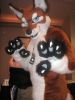 1238214654_junowolf_pict0014.jpg