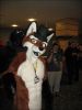 Keenora_EF13_004_disp800.jpg