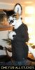 Filename=Nickolas-full2.jpg
Filesize=111KiB
Dimensions=593x1175
Date added=Apr 27, 2009 Nickolas-full2.jpg