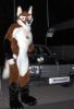 Nightfox-fullsuit2.jpg