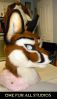Nightfox-suit2.jpg