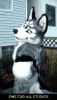 Filename=ioco-fullsuit-2.jpg
Filesize=163KiB
Dimensions=800x1384
Date added=Sep 28, 2009 ioco-fullsuit-2.jpg