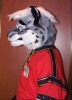 Filename=snowleopard2.jpg
Filesize=33KiB
Dimensions=400x549
Date added=Jul 01, 2004 snowleopard2.jpg