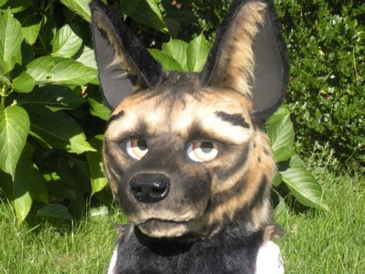 Vignette
Vignette
Keywords: Vignette Hyena