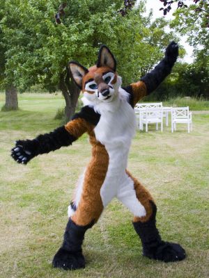 Foxfur
He has a great look.
Keywords: Foxfur fox red