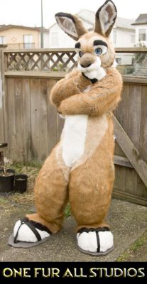 What mischief goes through a bunnies mind?
