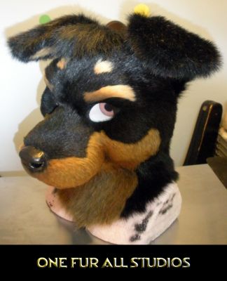 Xavier-head3.jpg