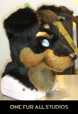 Xavier-head4.jpg