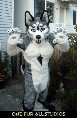 ioco-fullsuit-5.jpg